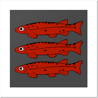 Fish trio Posters and Art